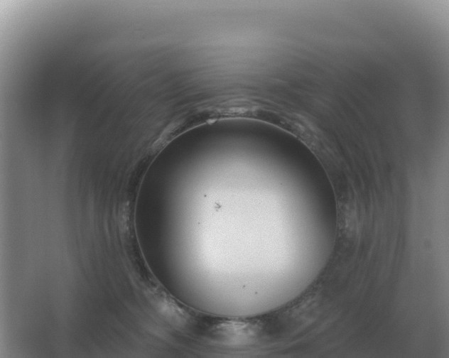 X0000067510326200604150140