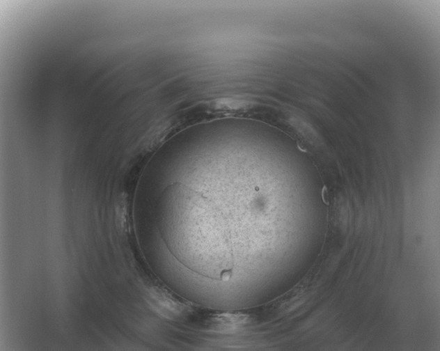 X0000067510328200604150140