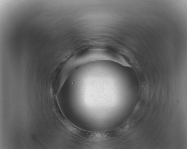 X0000067510329200604150140