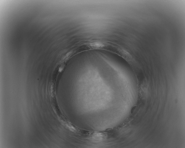 X0000067510330200604150140