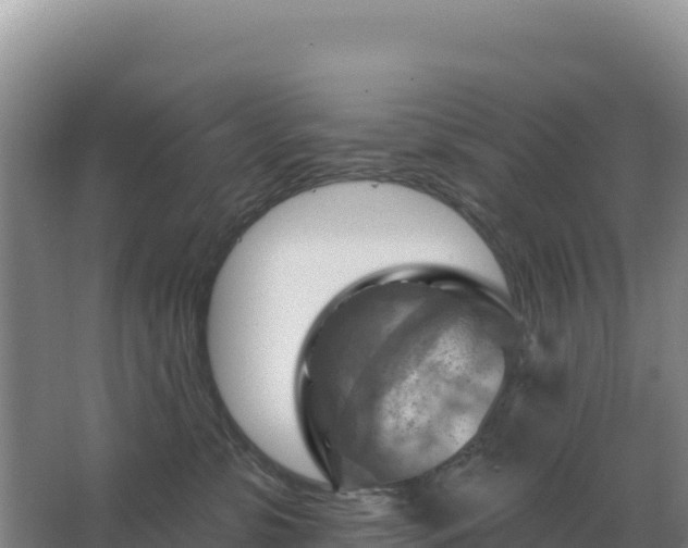 X0000067510331200604150140