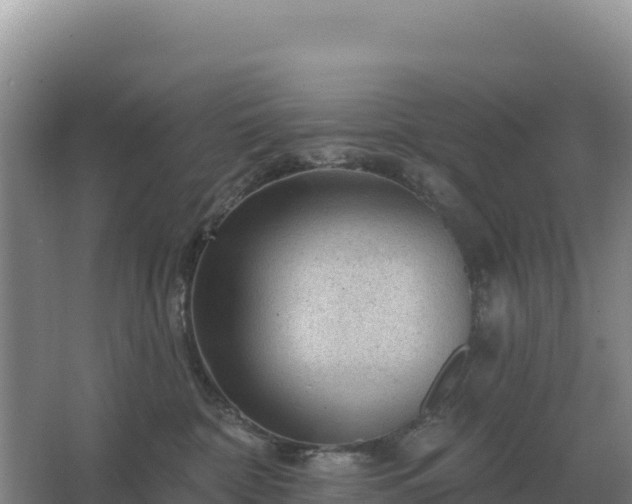 X0000067510332200604150140