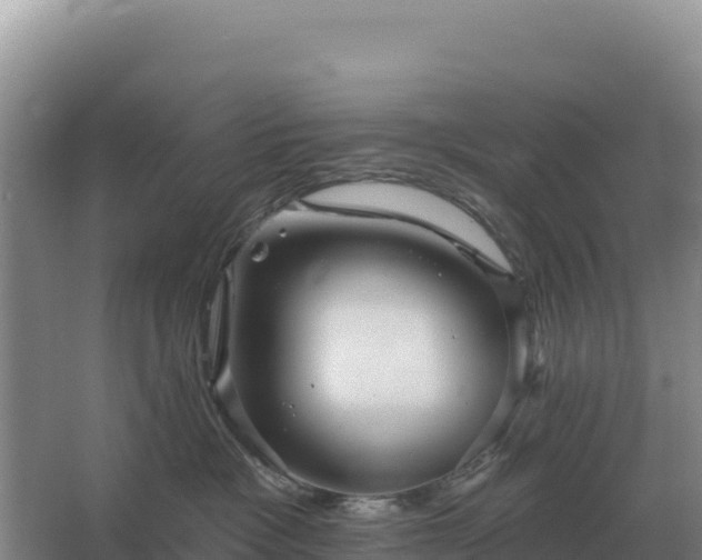 X0000067510333200604150140