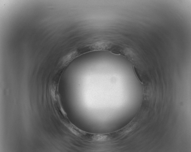 X0000067510334200604150140