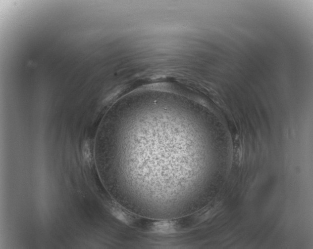 X0000067510335200604150140