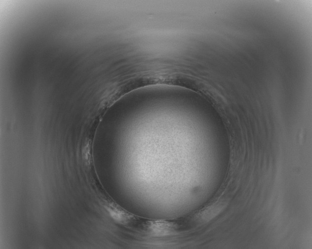 X0000067510336200604150140