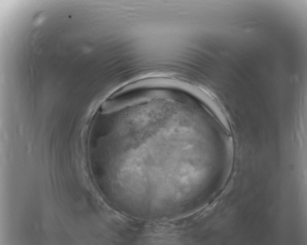 X0000067510337200604150139