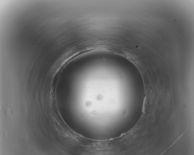 X0000067510338200604150139