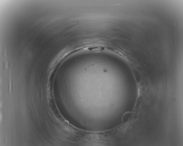 X0000067510339200604150139