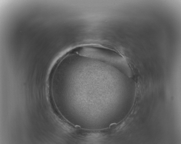 X0000067510342200604150139