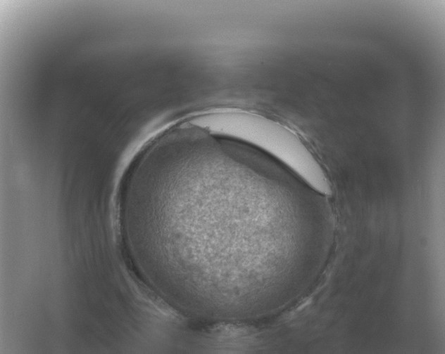 X0000067510343200604150139