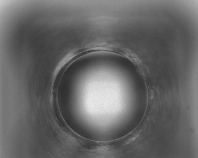 X0000067510344200604150139