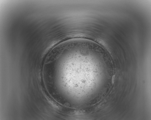 X0000067510345200604150139