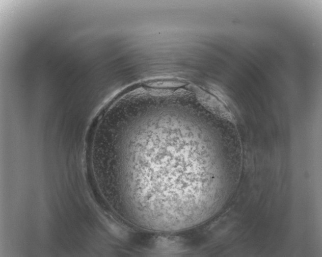 X0000067510346200604150139