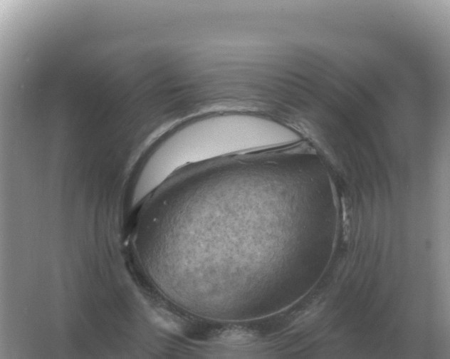 X0000067510348200604150139