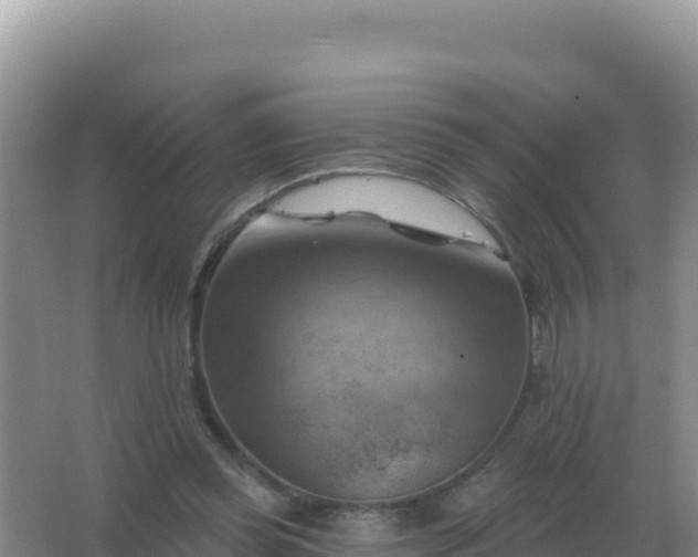 X0000067510349200604150139