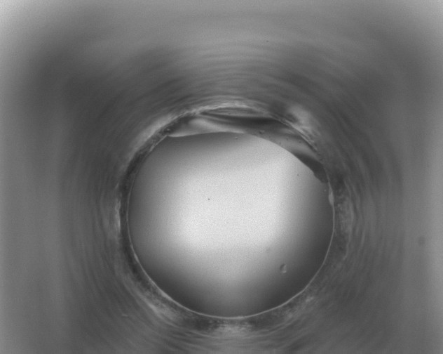 X0000067510350200604150139