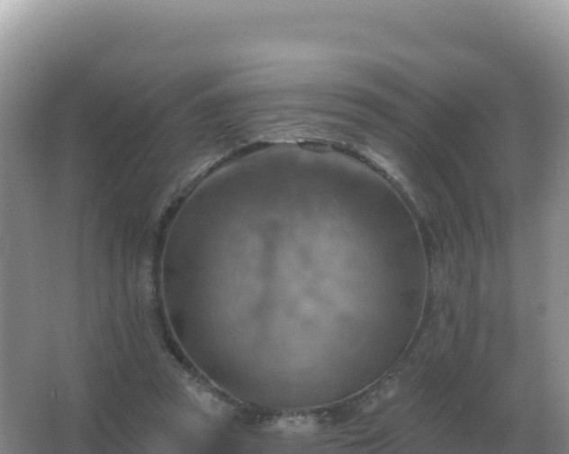 X0000067510353200604150139