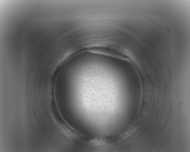 X0000067510354200604150139