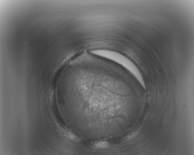 X0000067510355200604150139