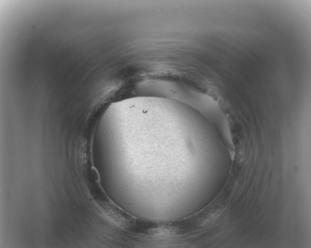 X0000067510356200604150139