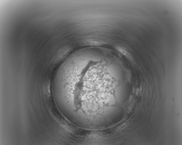 X0000067510358200604150139