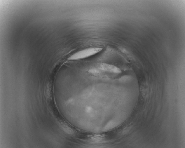 X0000067510359200604150139