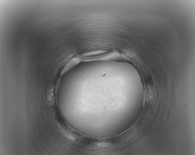 X0000067510360200604150139