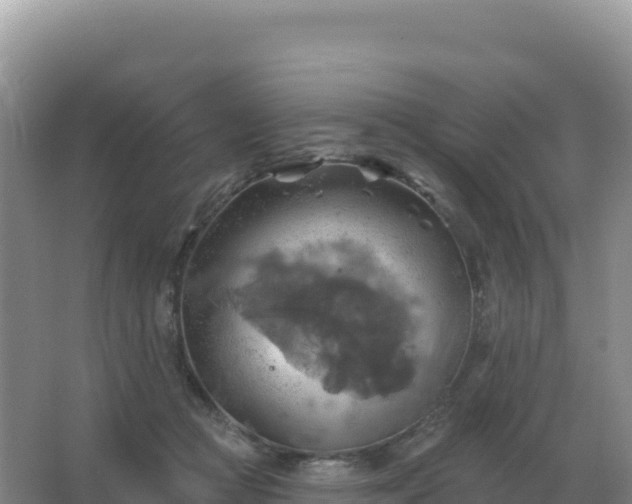 X0000067510361200604150139