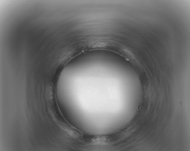 X0000067510362200604150139