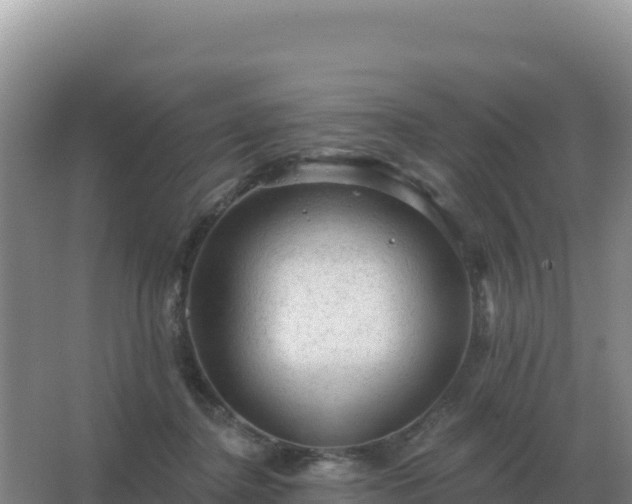 X0000067510364200604150139