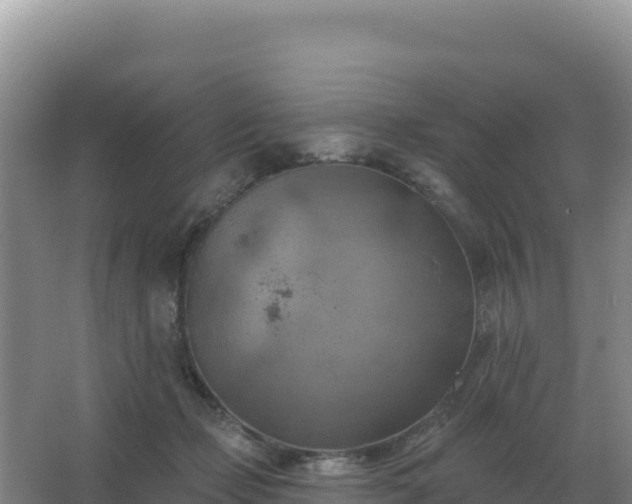 X0000067510365200604150139