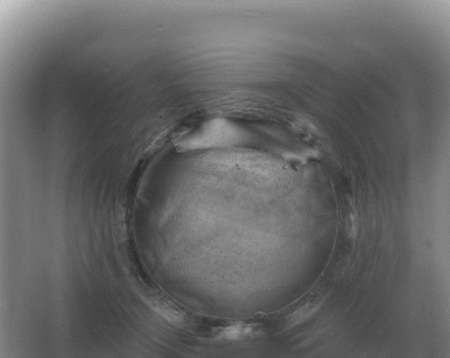 X0000067510366200604150139