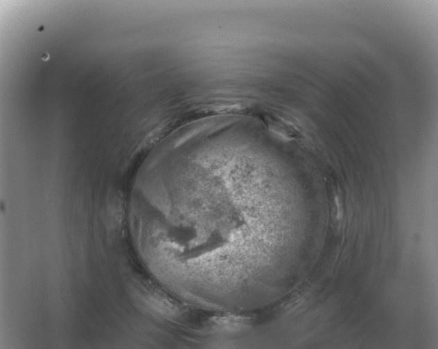 X0000067510367200604150139