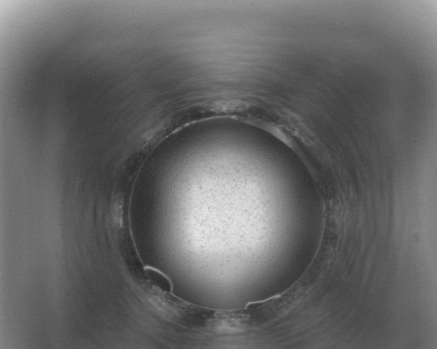 X0000067510368200604150139