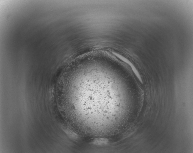 X0000067510369200604150139