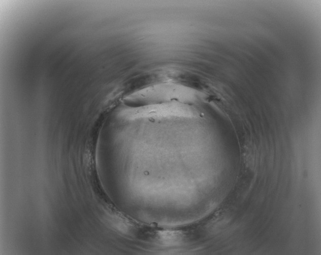 X0000067510371200604150139