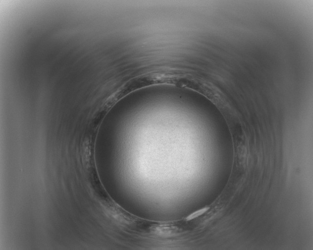 X0000067510372200604150139