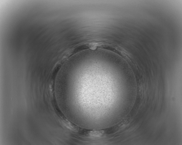 X0000067510373200604150139