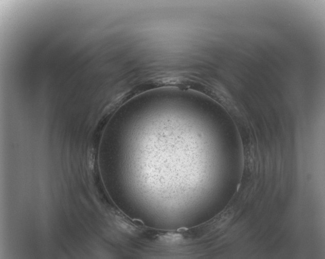 X0000067510374200604150139