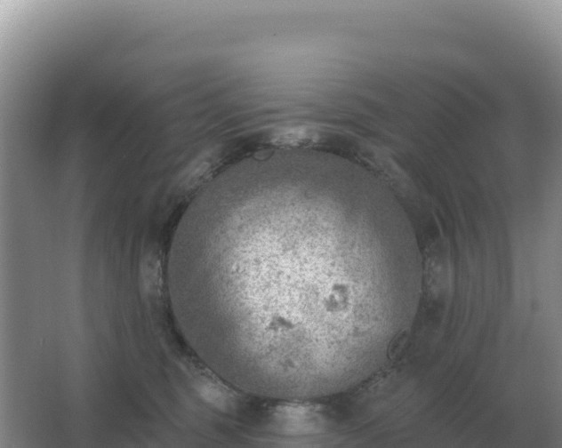 X0000067510375200604150139