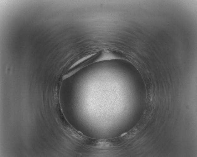 X0000067510376200604150139