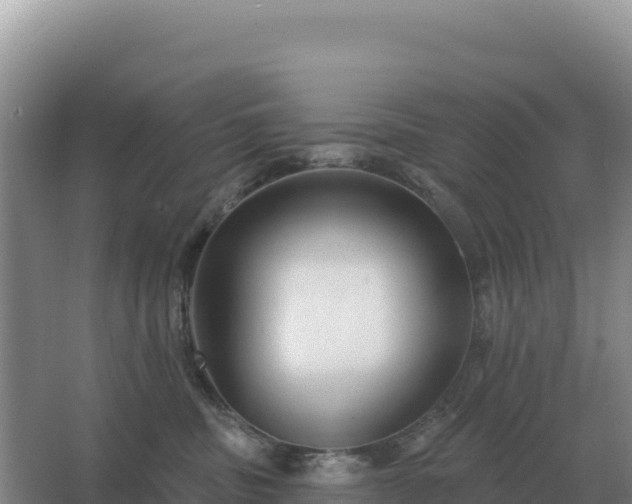 X0000067510379200604150139