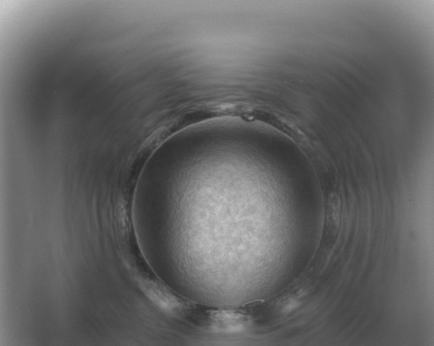 X0000067510380200604150140