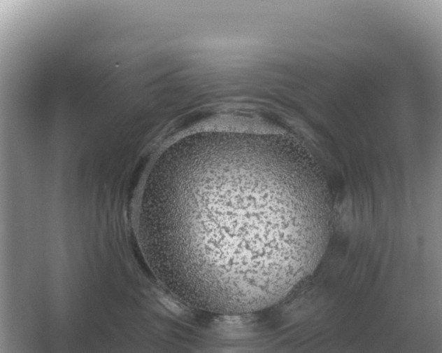 X0000067510381200604150140