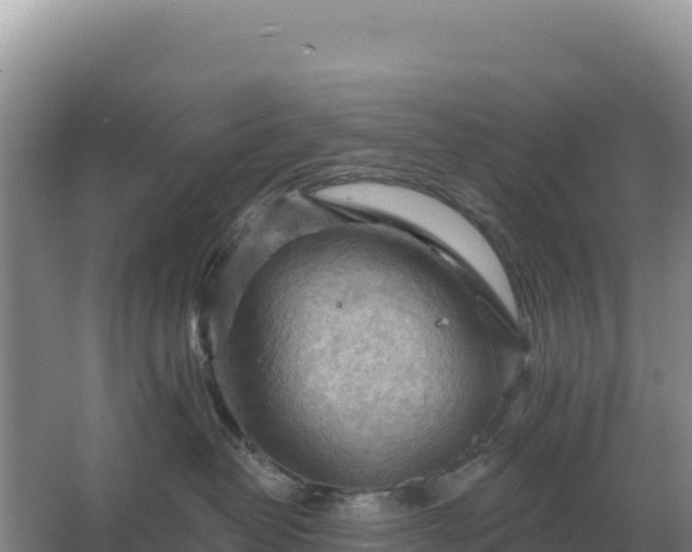 X0000067510382200604150140