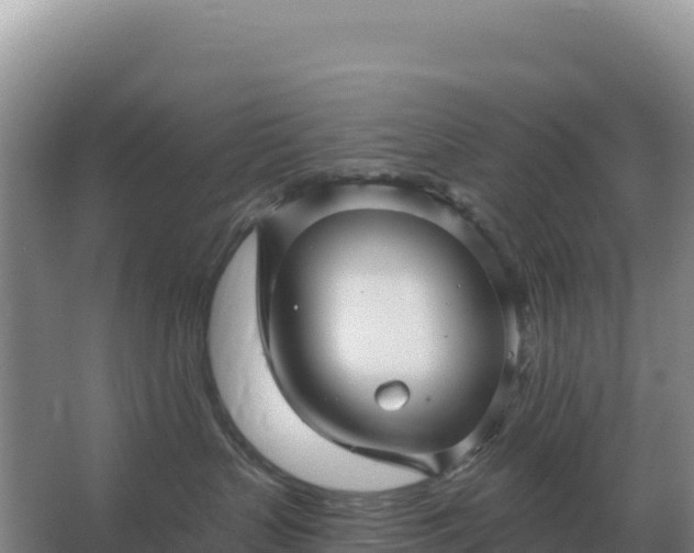 X0000067510383200604150140