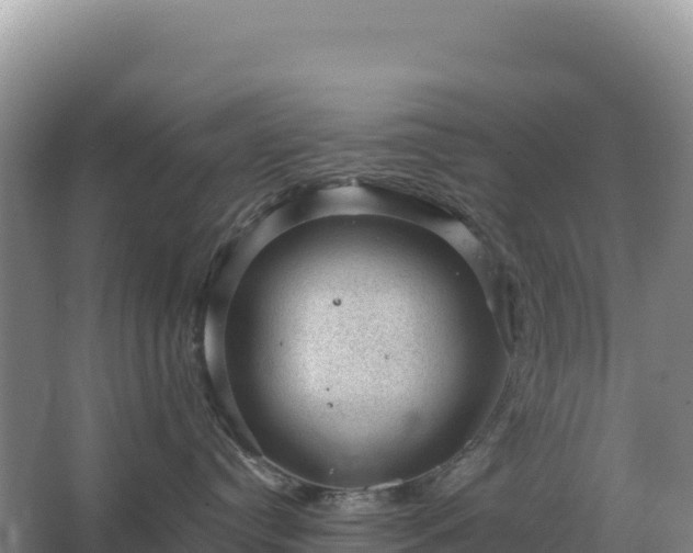 X0000067510384200604150140