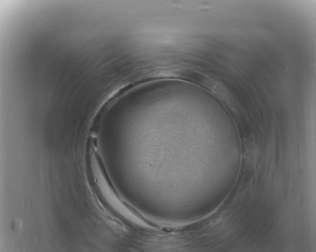 X0000067510386200604150139