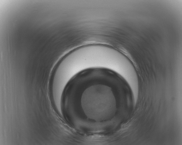 X0000067510387200604150139